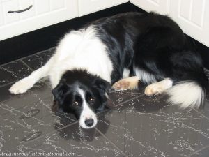 Bridie 005